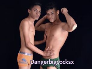 Dangerbigcocksx