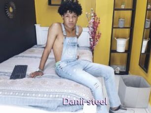 Danii_steel