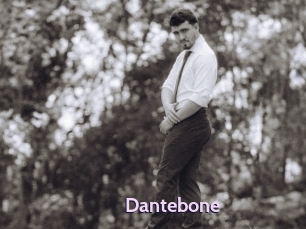 dantebone Gay Zone 24