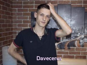 Davecerus