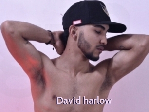 David_harlow