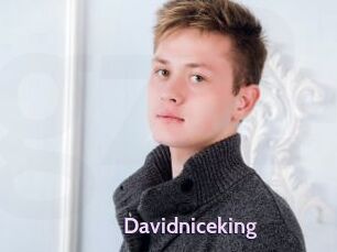 Davidniceking
