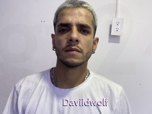 Daviidwolf