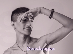 dereckcopper Gay Zone 24