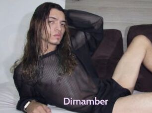 Dimamber
