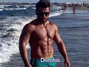 Domluc