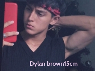 Dylan_brown15cm