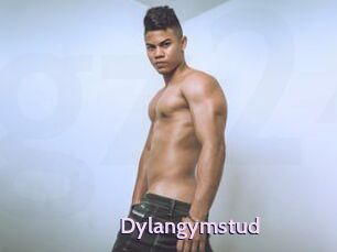 Dylangymstud