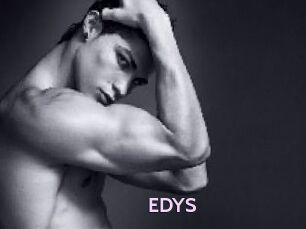EDYS
