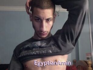 EgyptianAmin