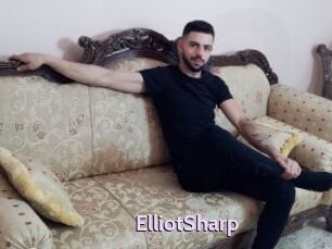 ElliotSharp