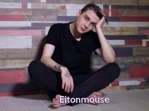 Eitonmouse
