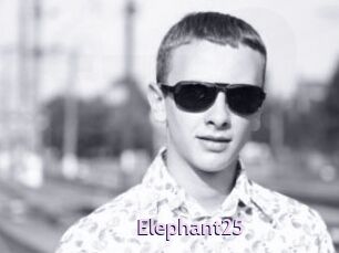 Elephant25