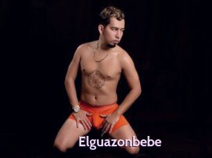 Elguazonbebe