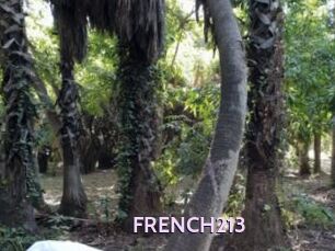 FRENCH213