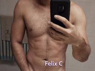 Felix_C Gay Zone 24