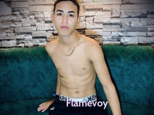 Flamevoy