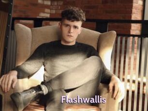 Flashwallis