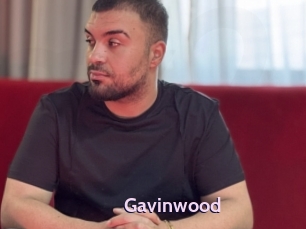 gavinwood Gay Zone 24