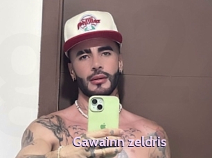 Gawainn_zeldris