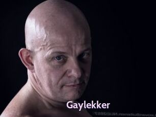 Gaylekker