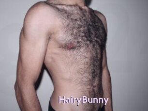 HairyBunny