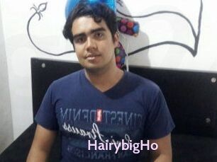 HairybigHo