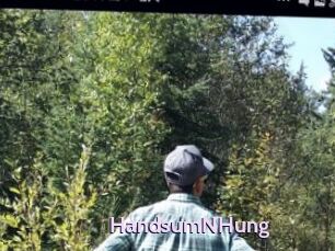 HandsumNHung