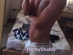 HarleyStuddy