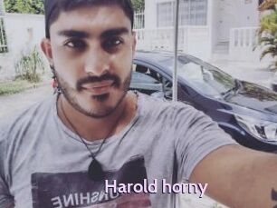 Harold_horny