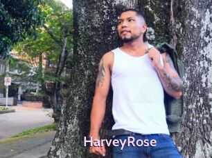 HarveyRose