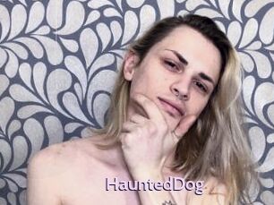 HauntedDog