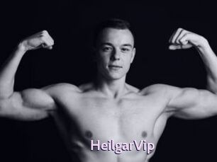 HeilgarVip