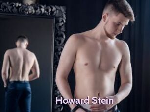 Howard_Stein