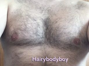 Hairybodyboy