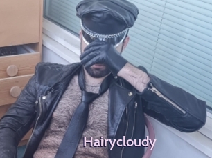 Hairycloudy