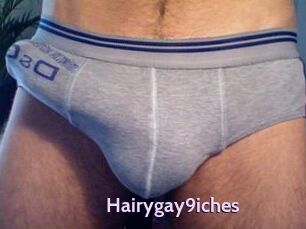 Hairygay9iches