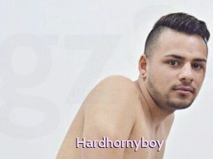 Hardhornyboy