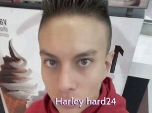 Harley_hard24