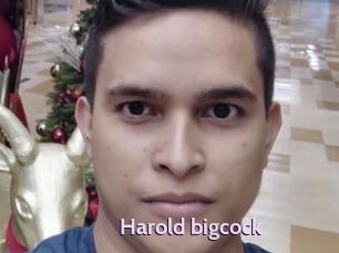 Harold_bigcock
