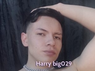 Harry_big029