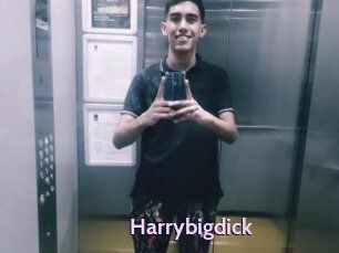 Harrybigdick