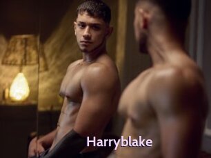 Harryblake