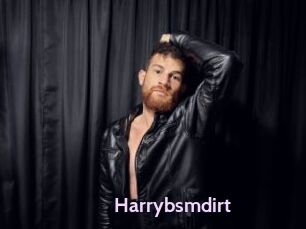Harrybsmdirt