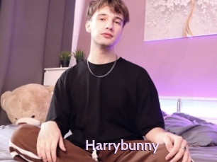 Harrybunny