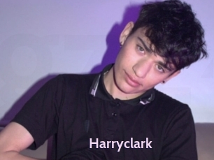 harryclark Gay Zone 24