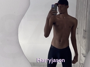 harryjason Gay Zone 24