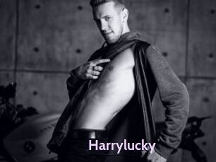 Harrylucky
