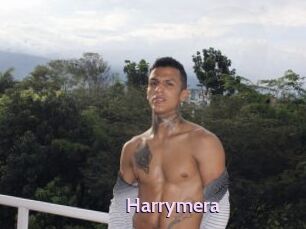 Harrymera