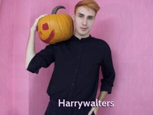 Harrywalters